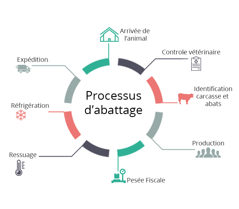process secam